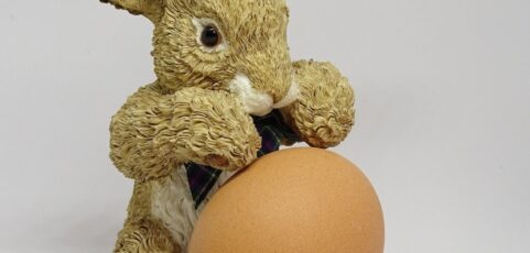 Eggs, Liability and Data Protection